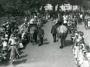 Paseos en elefante asiático con multitudes de espectadores en el Zoológico de Londres, 1922 de Frederick William Bond